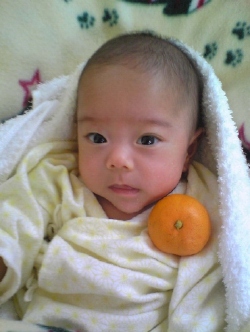 ���n���u���O�E�V�N���߂łƂ��������܂�