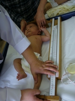 ���n���u���O�E�g���𑪂�Ԃ����