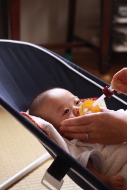 ���n���u���O�E�n���̂�������ޗl�q