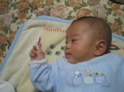 ���n���u���O�E�w����Ԃ�