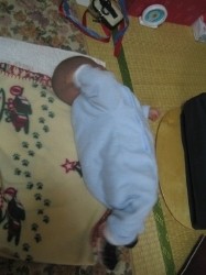 2010-01-29 (Fri) �̉摜